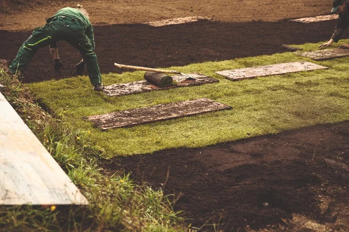 Person verlegt Rollrasen mit einer Harke.
